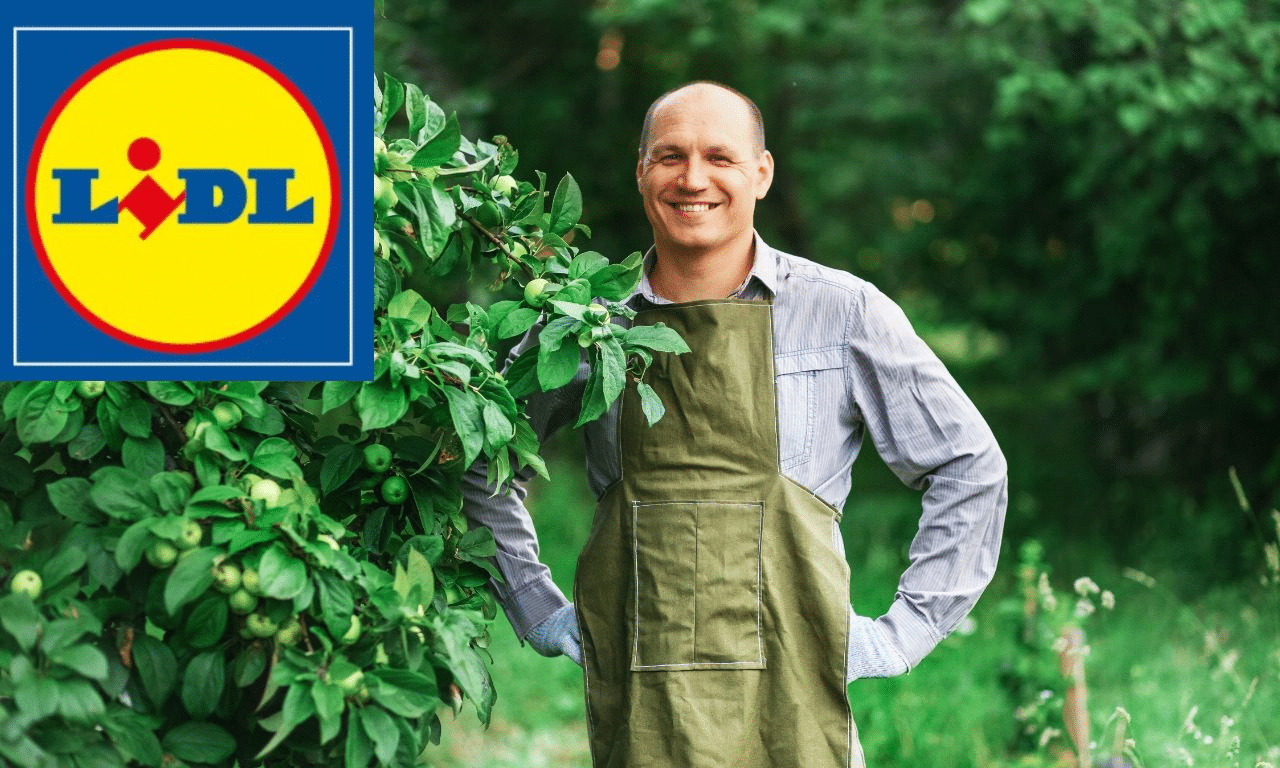 Lidl verrast met deze telescopische tuinhelper – zo goedkoop had niemand verwacht!