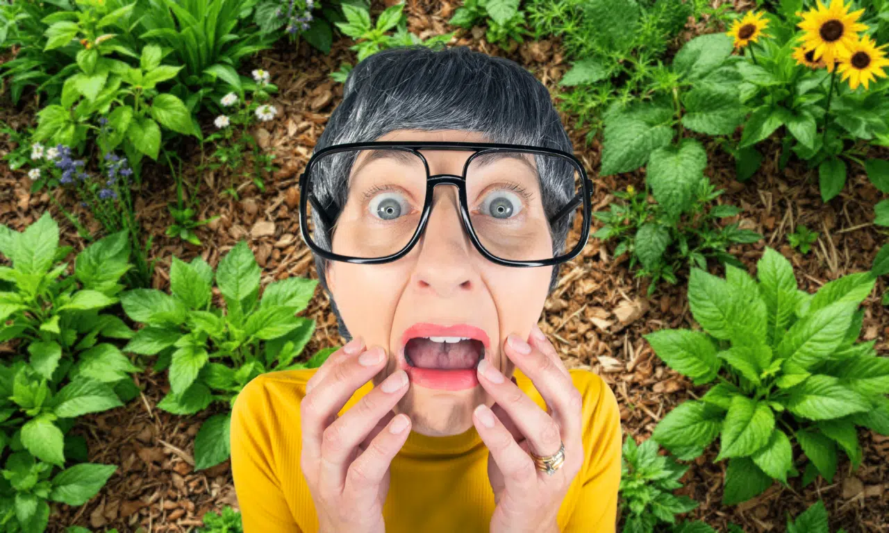 Deze simpele truc stopt onkruid vóórdat het begint – elke tuinier zou dit moeten kennen