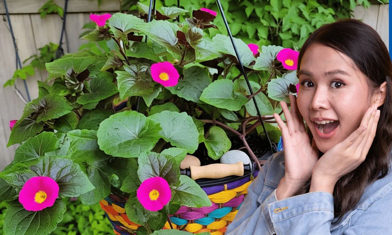 Met deze slimme verzorging groeit je leeuwenoor uit tot een zomerse blikvanger